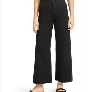 Everlane Wide Leg Cropped Chinos